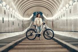 Vélo ville électrique Riese & Müller Nevo – Image 6