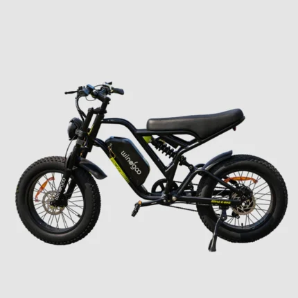 Vélo Electrique de ville  WINDGOO - F18