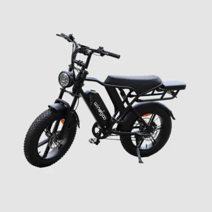 Vélo Electrique de ville  WINDGOO - F20