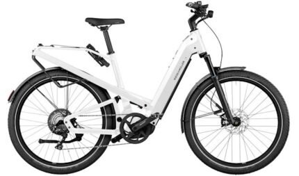 VTC électrique Riese & Müller Homage